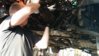 IMG_20160426_181357.jpg