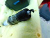 DSCN0376.JPG