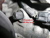 P1110801ees.jpg