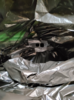 upload_2020-5-31_12-46-27.png