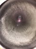 BC8D6904-8B96-499F-A87A-BA8E972295CB.jpeg