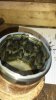 20160417_154335.jpg