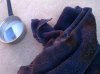 IMG_20120323_175226.jpg