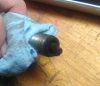 Plug 2.png