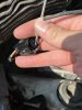 IMG_1102.jpeg