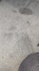 upload_2024-11-3_18-54-10.jpeg