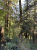 IMG_0045.jpeg