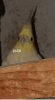 a9AE2zle_700w_0.jpg