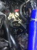 IMG_0056.jpeg