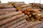 Logs.jpg