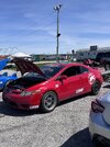 IMG_7537.jpeg