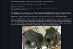 IMG_1793.jpeg