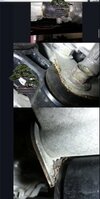 IMG_1813.jpeg