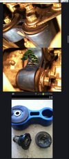 IMG_1815.jpeg