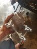 20170806_165842.jpg