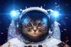 spacecat3.jpg