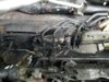 20170524_115618.jpg