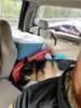 20170501_115225.jpg