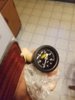 20181128_155143.jpg